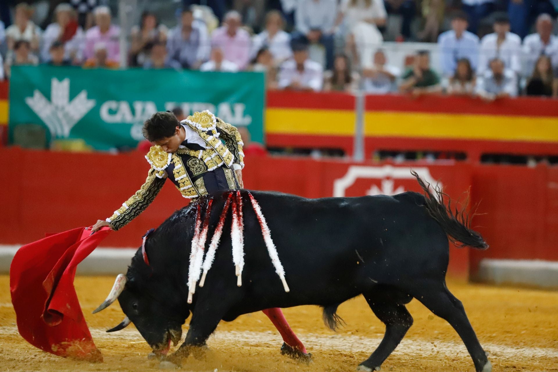 Las mejores imágenes del viernes de Corpus en la Plaza de Toros de Granada