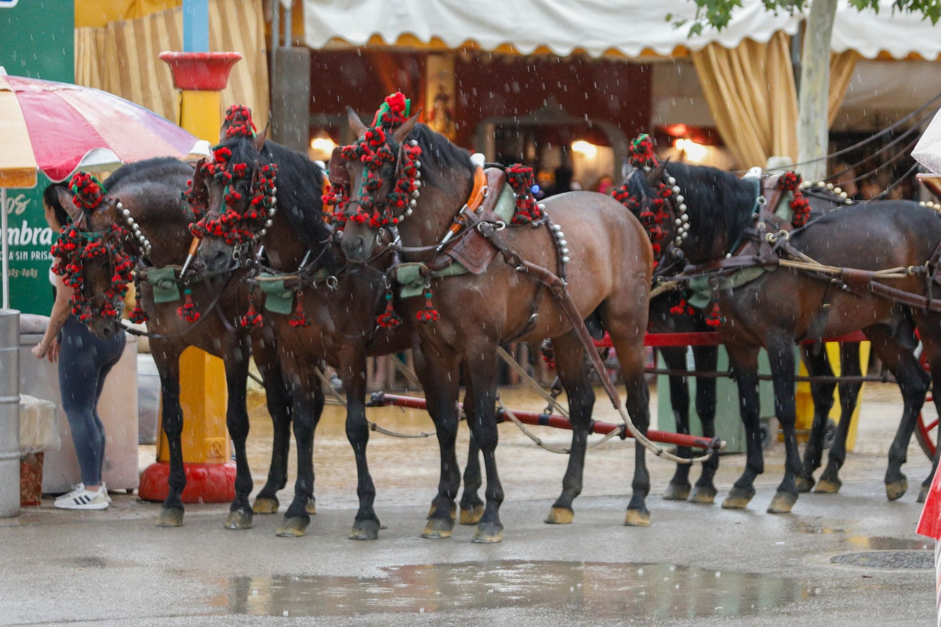 Las mejores imágenes del viernes de Corpus: los Morente, los Mutantes y la manta de agua