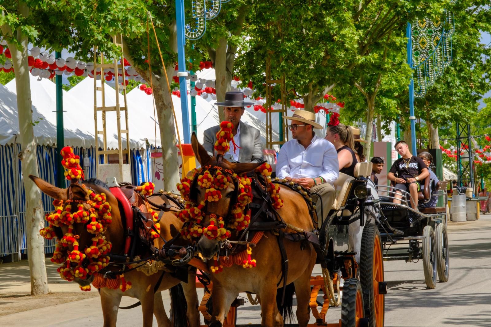 La exhibición de enganches en el ferial de Granada, en imágenes