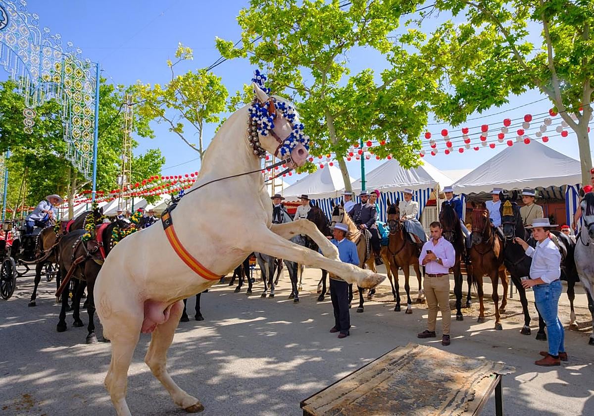 La exhibición de enganches en el ferial de Granada, en imágenes