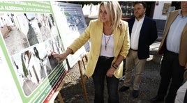 Renovadas las redes en Minas del Albaicín y Callejón de la Alberzana con una inversión de casi 600.000 euros