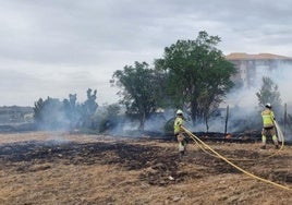 Actuación de los bomberos de Guadix en el terreno afectado por las llamas