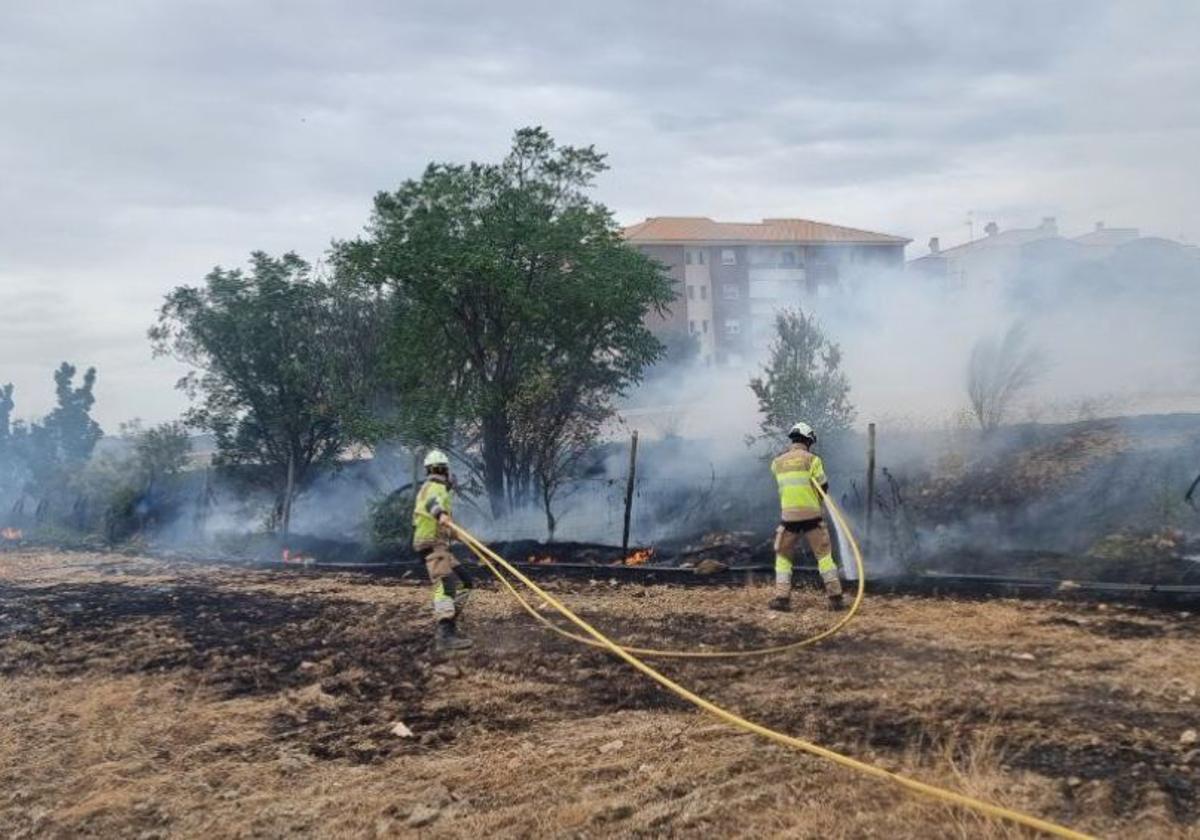 Actuación de los bomberos de Guadix en el terreno afectado por las llamas