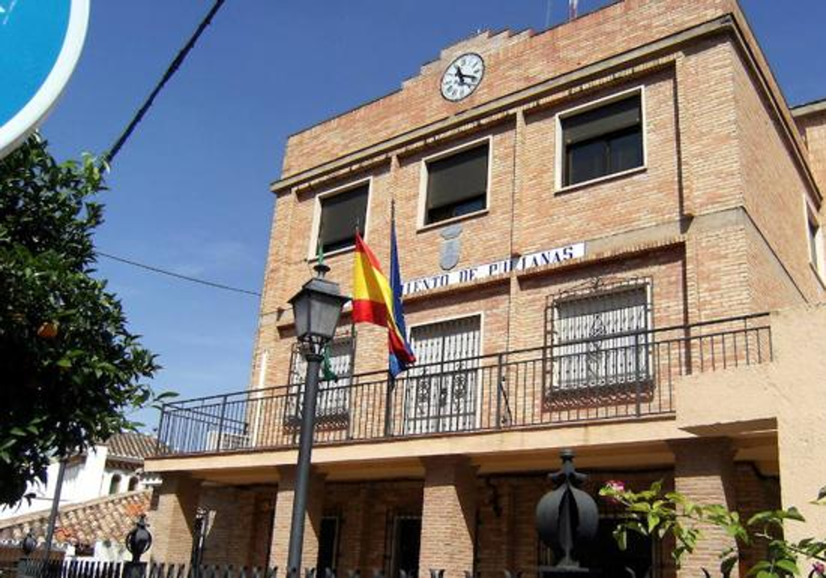 Disparan al edificio del Ayuntamiento de Pulianas | Ideal