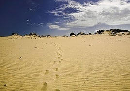 Las dunas de Doñana, las únicas móviles de toda Europa