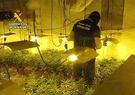 La Guardia Civil 'se pone las botas' en Granada: descubren 18 invernaderos de marihuana