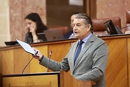 l consejero andaluz de la Presidencia, Interior, Diálogo Social y Simplificación Administrativa, Antonio Sanz.