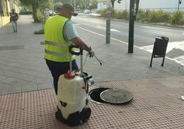 Labores de fumigación en una arqueta de la capital