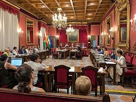 Pleno de Granada de este viernes.