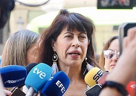 La ministra de Igualdad, Ana Redondo, hoy, ante los medios.