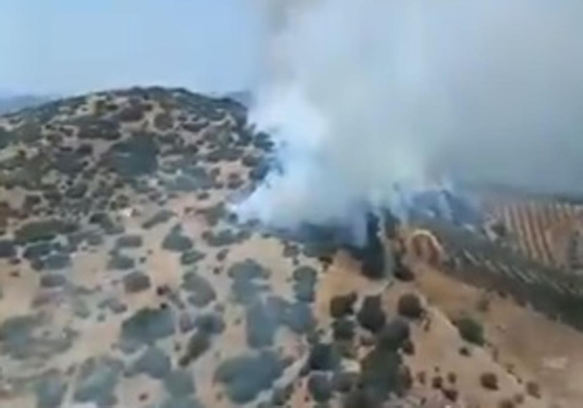 Bomberos y medios aéreos del Infoca combate un incendio en...