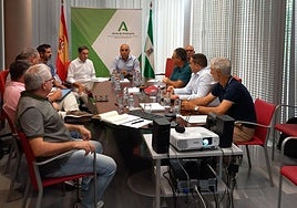 Reunón del Grupo de Trabajo de Sanidad Vegetal en la Delegación de Agricultura.