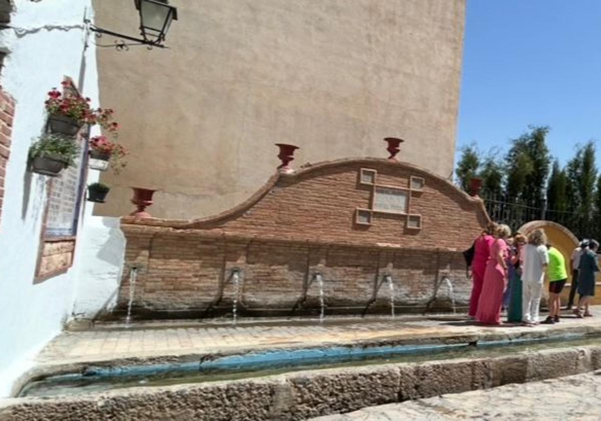 Gor prohíbe llenar piscinas y regar huertos con agua potable...