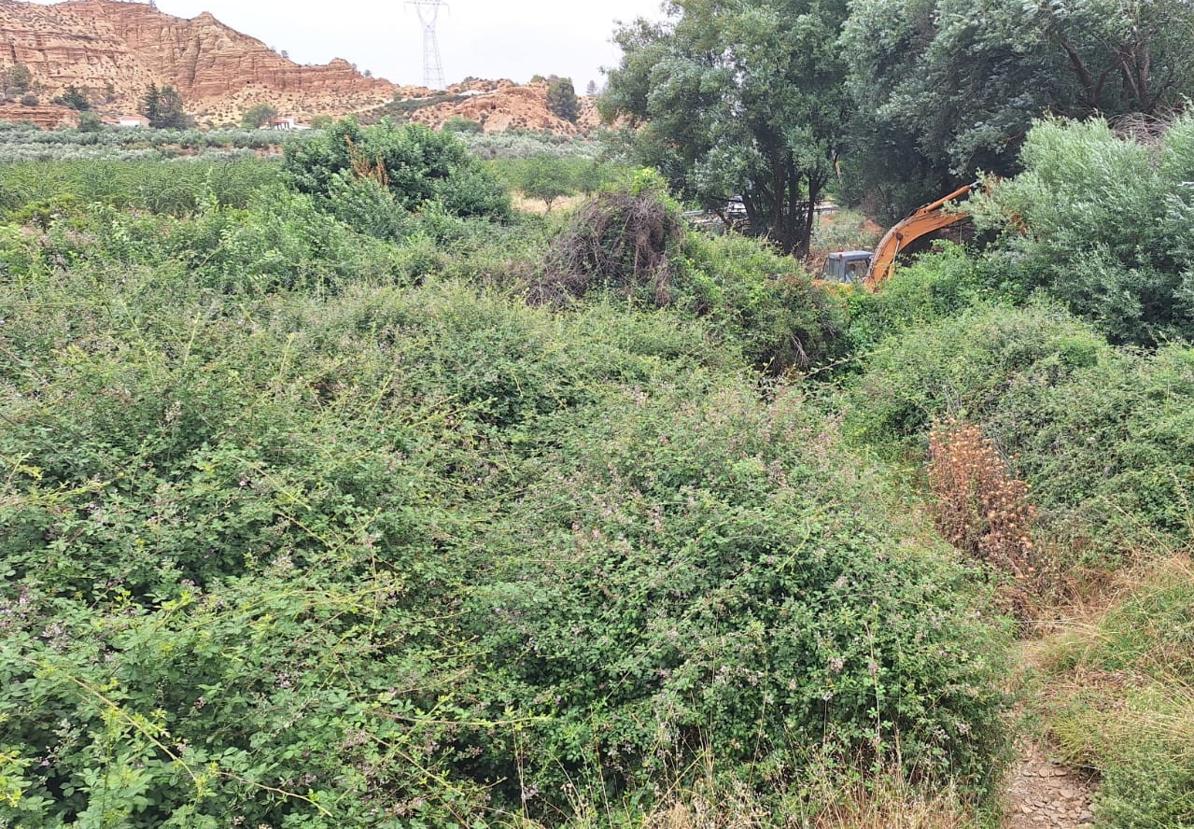 Limpian el río Alhama a su paso por Marchal tras...