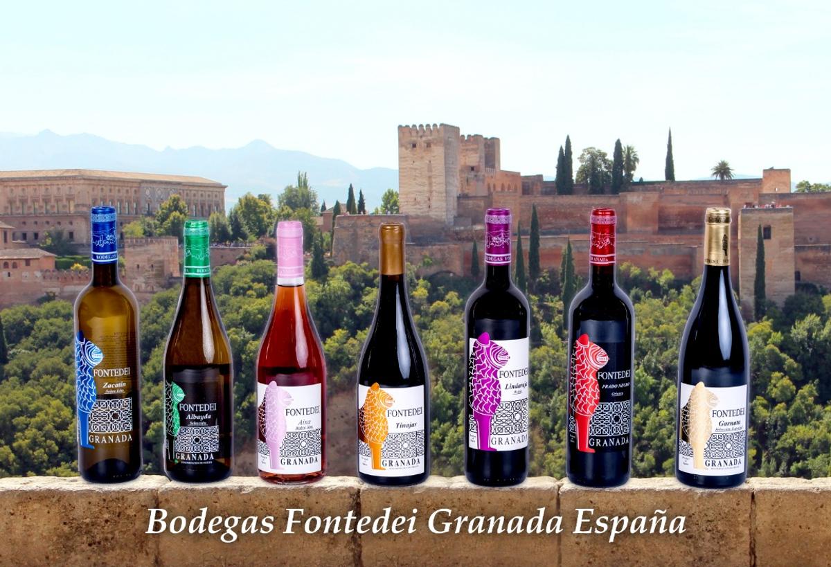 Vinos únicos a más de mil metros de altitud | Ideal