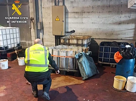 Aceite intervenida por la Guardia Civil.