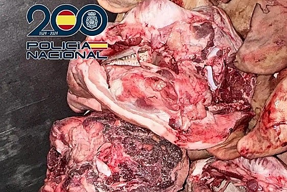 La carne intervenida.