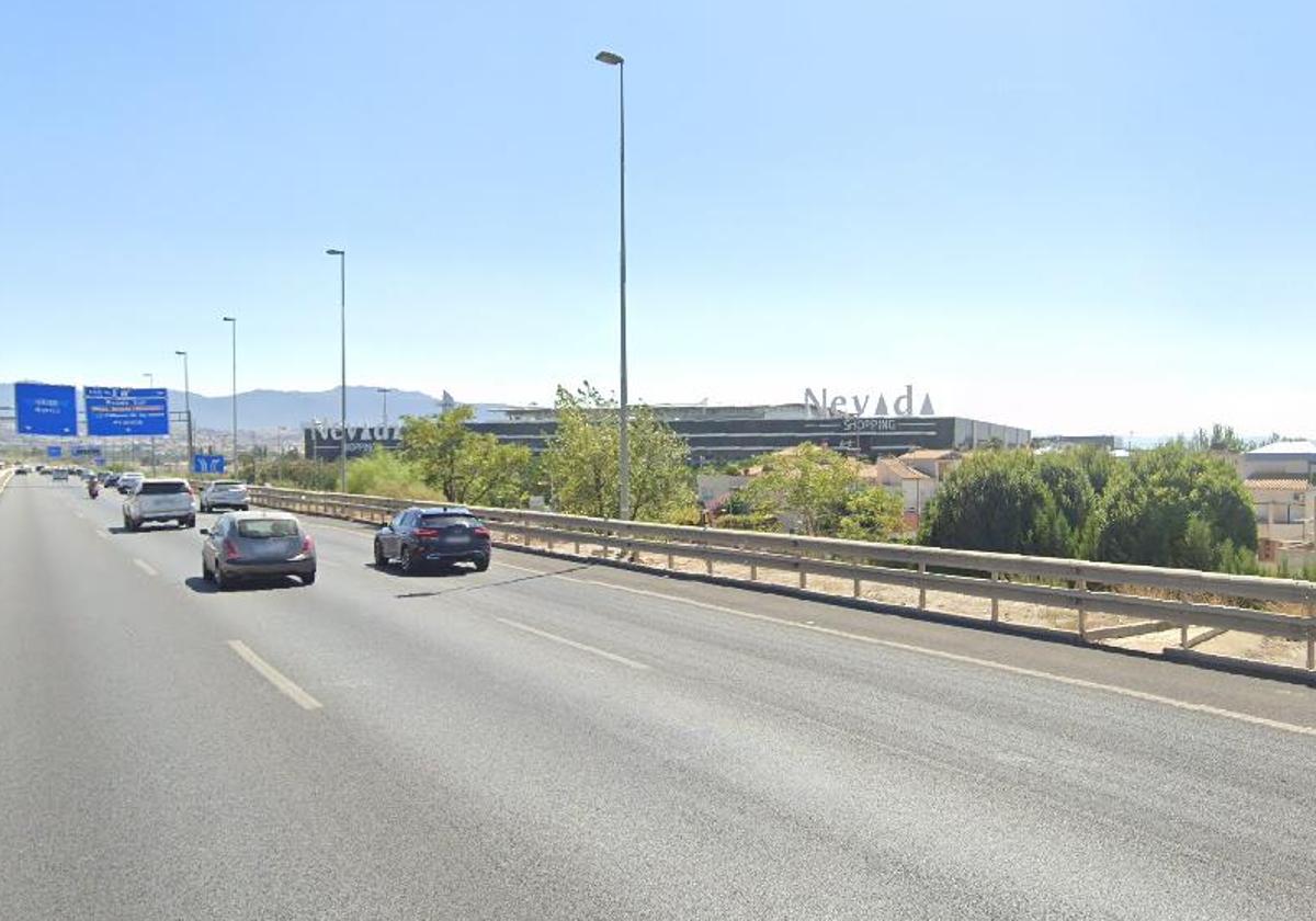 Un buitre en la mediana de la Circunvalación alerta a los...