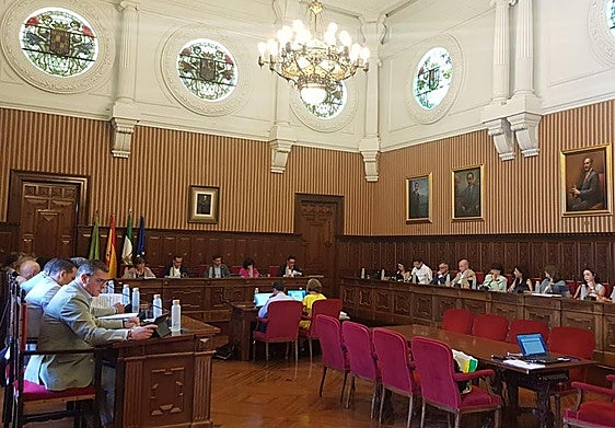 Diputados provinciales en el pleno ordinario de este jueves.