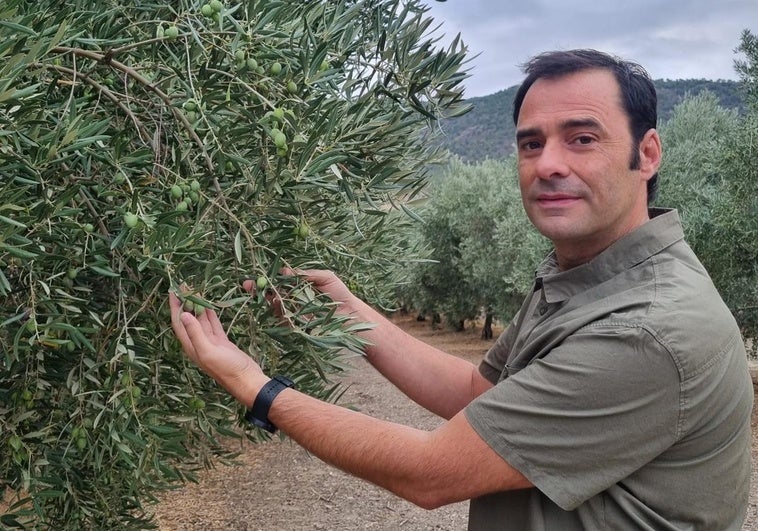 El increíble aceite de Sierra Nevada: «Es más sabroso y ofrece beneficios únicos para la salud»