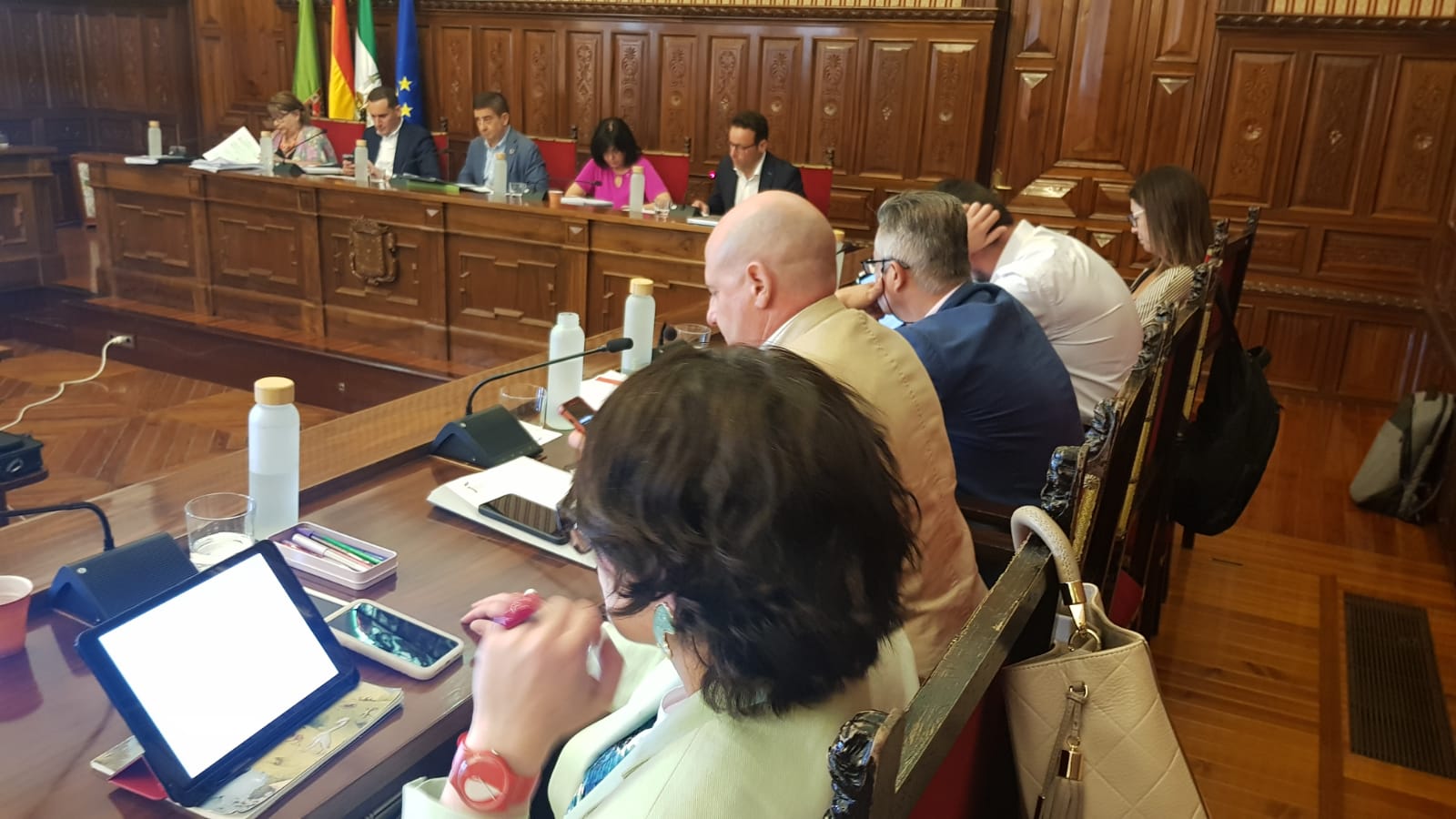 Pleno ordinario de la Diputación de Jaén.