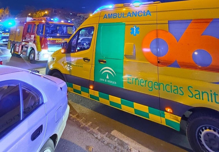 Cinco heridos tras chocar contra un jabalí en una carretera de Granada