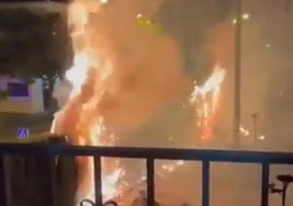 Incendio en los árboles del convento Hijas de la Caridad.