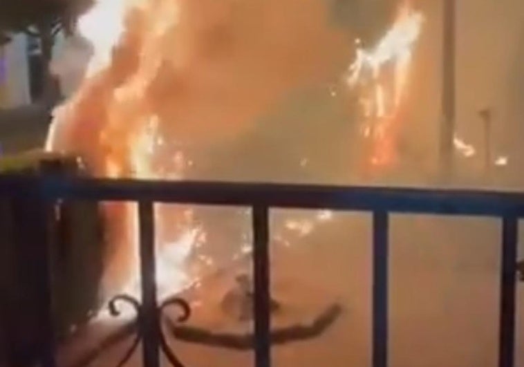 Un incendio en los árboles de un convento de Granada obliga a intervenir a los bomberos