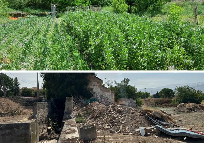 Antes: judías, habas y patatas de la Huerta de la Mariana. Después: escombros tras el 14 de mayo.