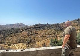 Los árboles renacen después del incendio.