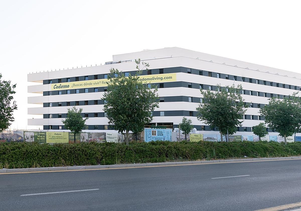Codomo Living: El nuevo concepto de vivienda para estudiantes y jóvenes profesionales en Granada