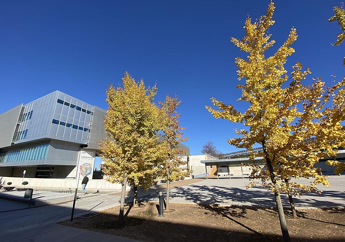 «Incredulidad» de las Universidades Públicas de Andalucía por el rechazo del grado en la UJA