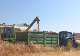 Maquinaria recolectando cereal en una explotación de Los Vélez.