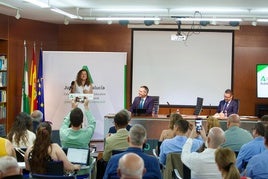 Castillo expone en el pleno del Consejo Escolar los avances de la educación en Andalucía