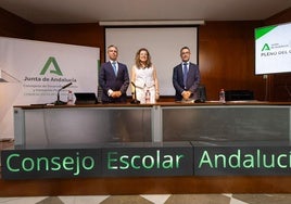 La consejera de Desarrollo Educativo y Formación Profesional, María del Carmen Castillo, ayer, en el pleno extraordinario del Consejo Escolar de Andalucía.