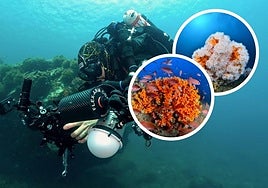 José Javier Sánchez con su cámara en la playa de La Herradura.