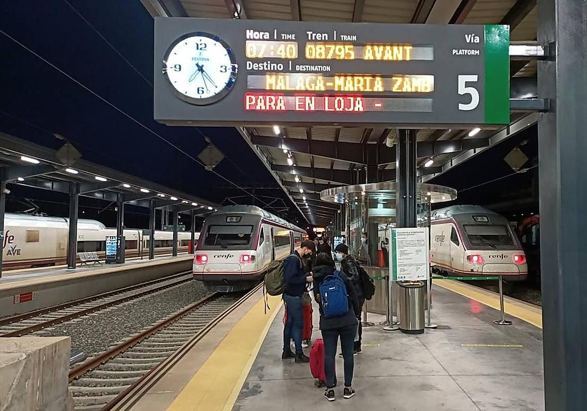Trenes en la estación de Andaluces.