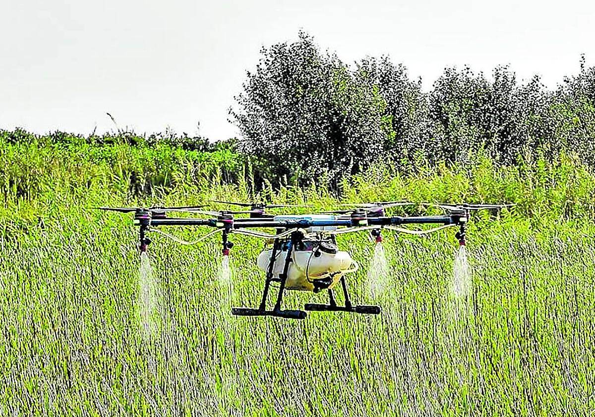 Fumigación con drones para prevenir la presencia de mosquitos transmisores del Virus del Nilo.