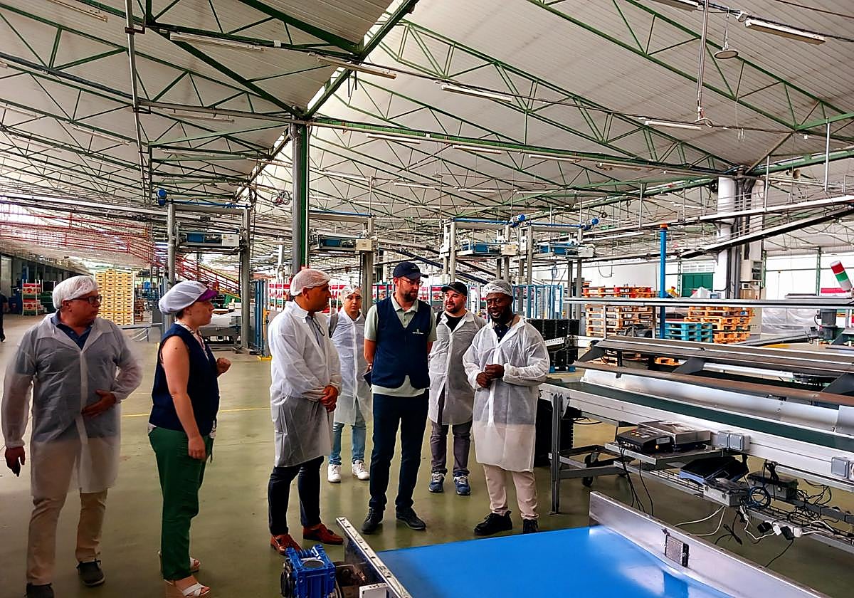 Ecoinver lanza el proyecto Cucumdata para la digitalización del empaquetado