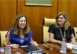 La consejera de Desarrollo Educativo y FP, Carmen Castillo, durante la Comisión de Infancia de este martes.