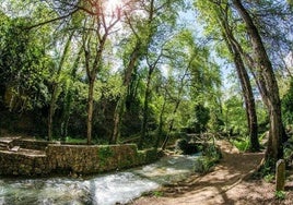 Así es la ruta de dos kilómetros con cascadas más impresionantes en pleno corazón de Andalucía.