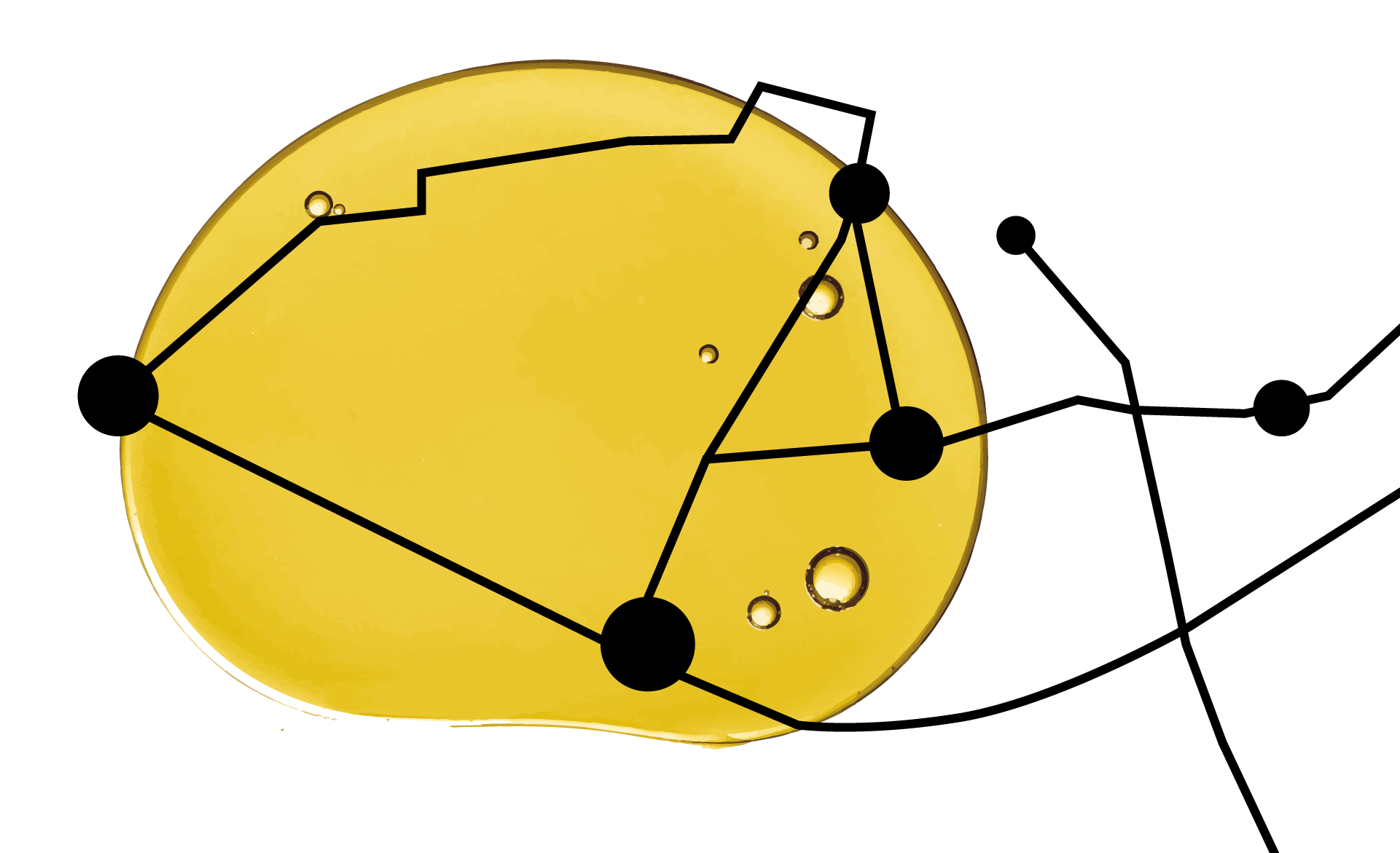 Scroll Story imagen 2