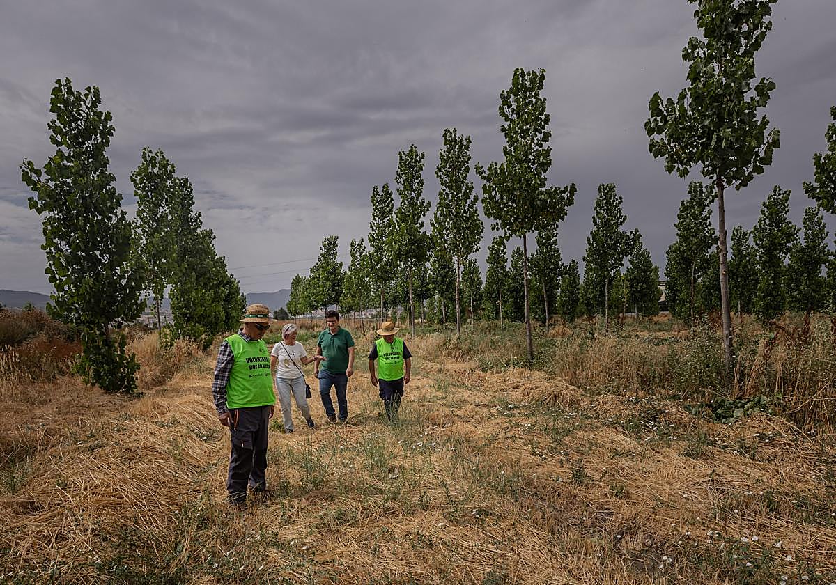 Los integrantes de Salvemos la Vega y LIFE Wood for Future coordinan los proyectos y a los equipos de voluntarios que trabajan en ellos para demostrar que la lucha contra el cambio climático es posible.