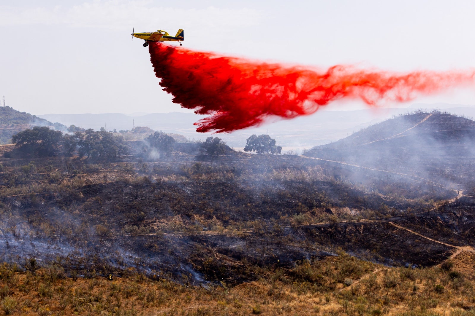 Las espectaculares imágenes del incendio declarado en Jun