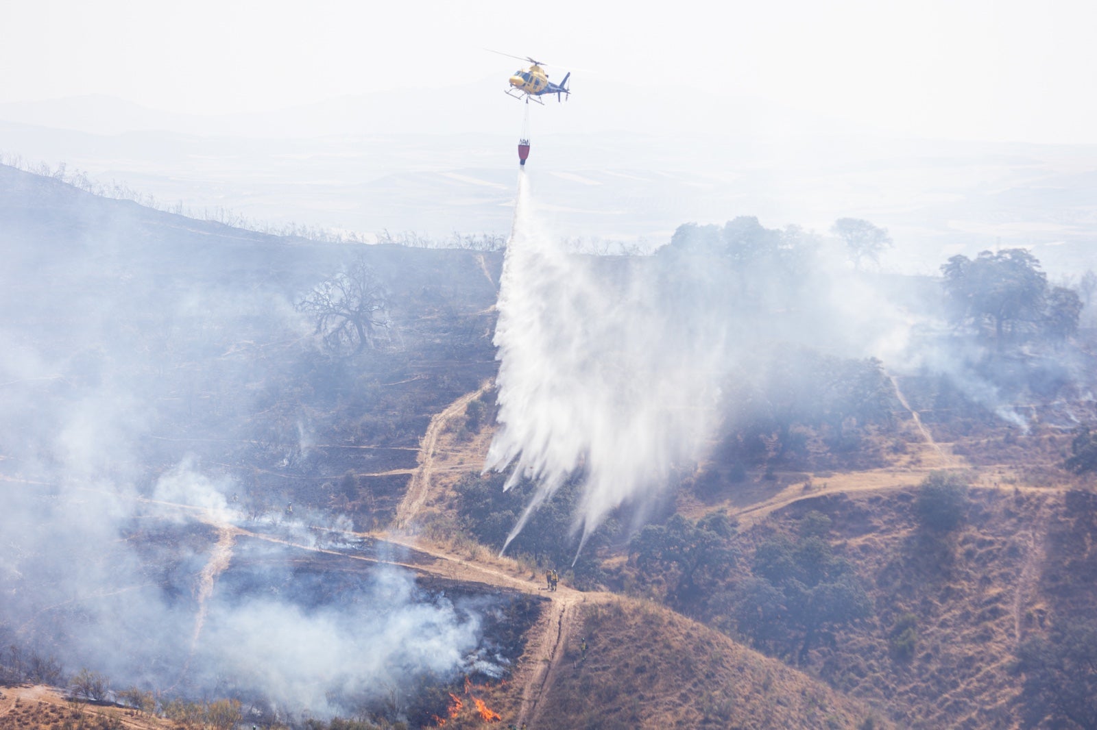 Las espectaculares imágenes del incendio declarado en Jun