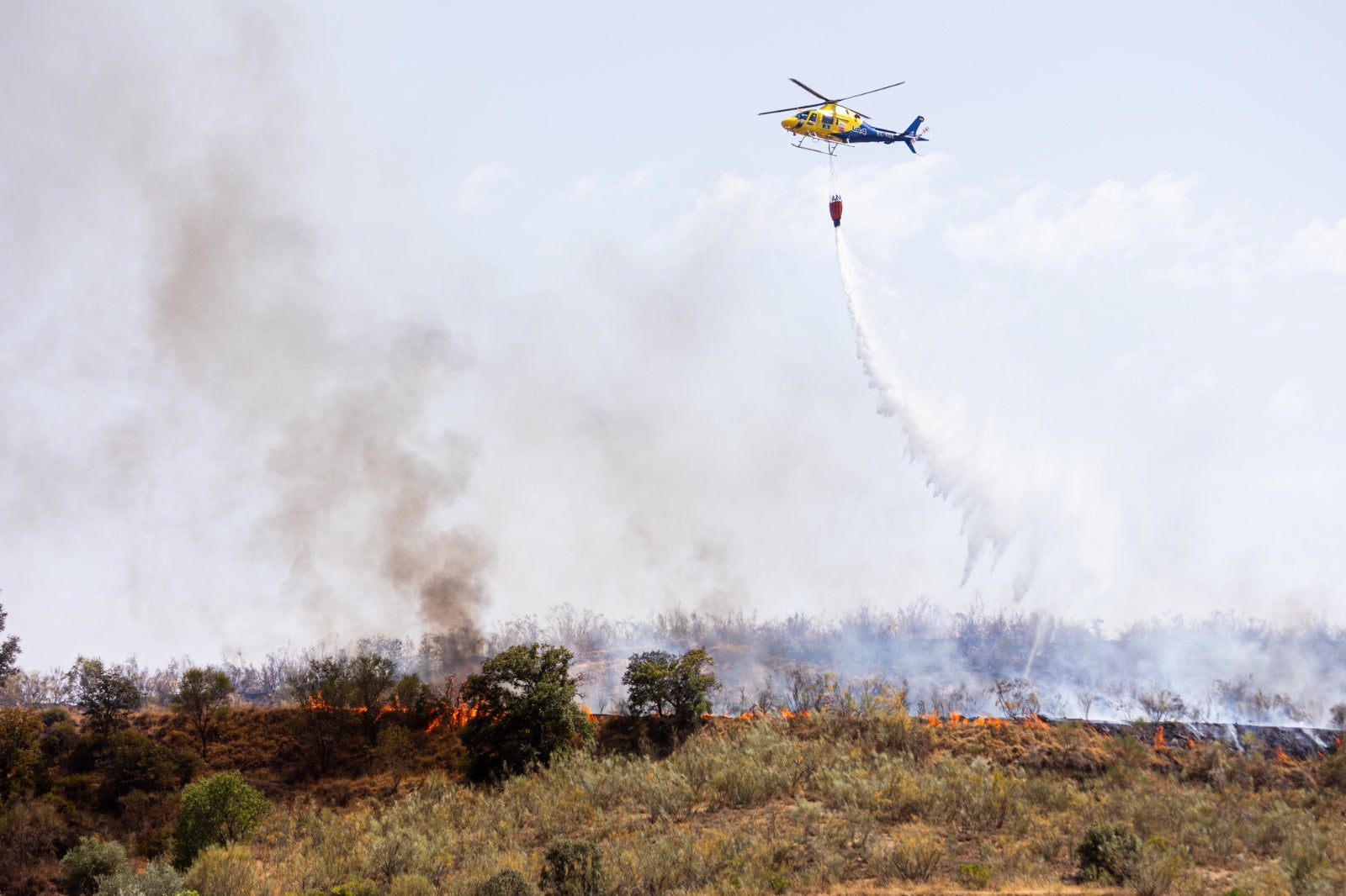 Las espectaculares imágenes del incendio declarado en Jun