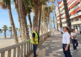 Carlos Ferrón comprueba el estado de las palmeras de La Caletilla-min
