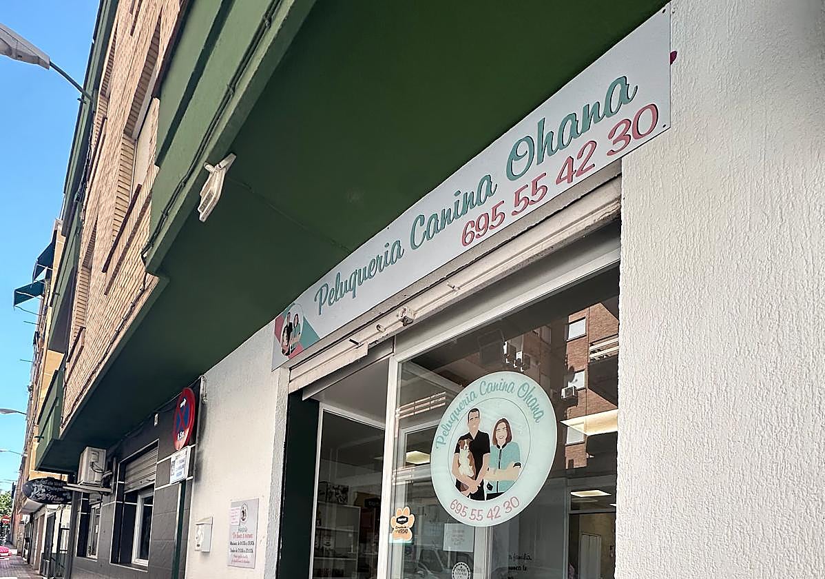 Peluquería Canina Ohana, Chana