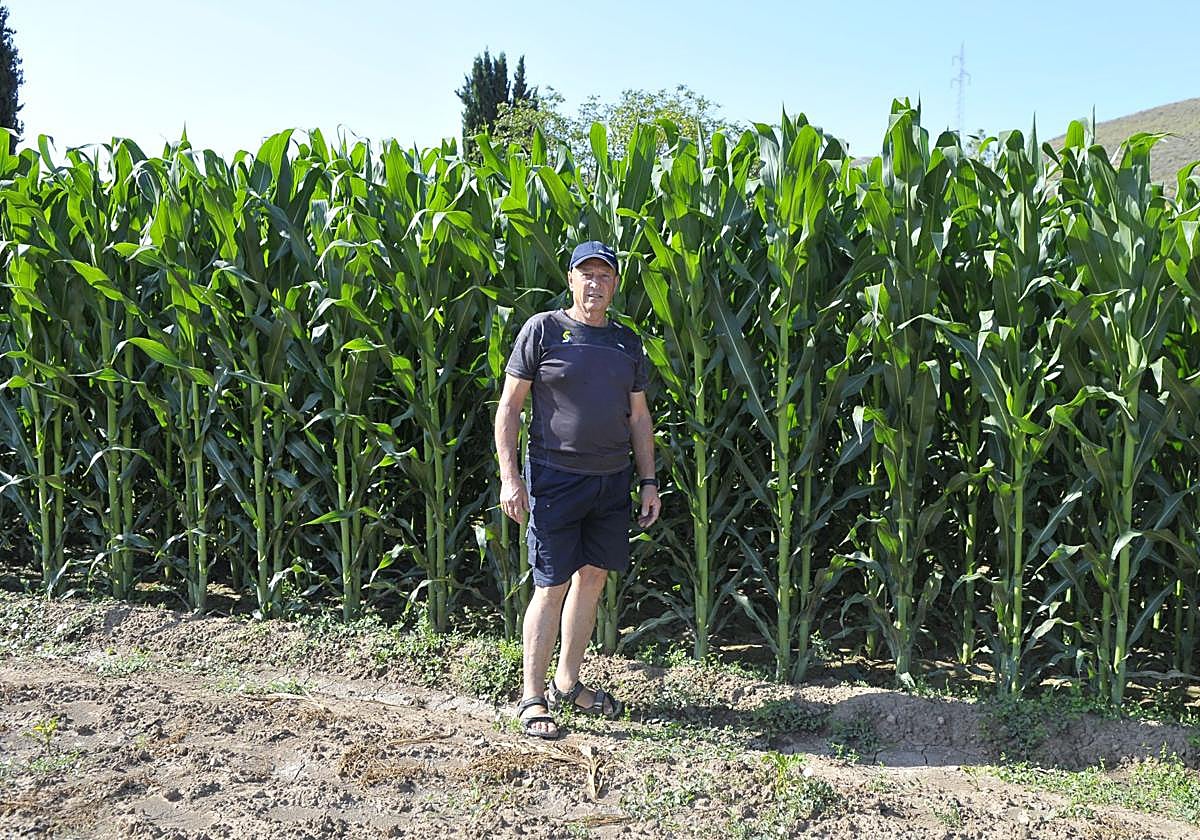 El paduleño ya jubilado, Manuel Villena Gámez, sigue labrando un pedazo de tierra.