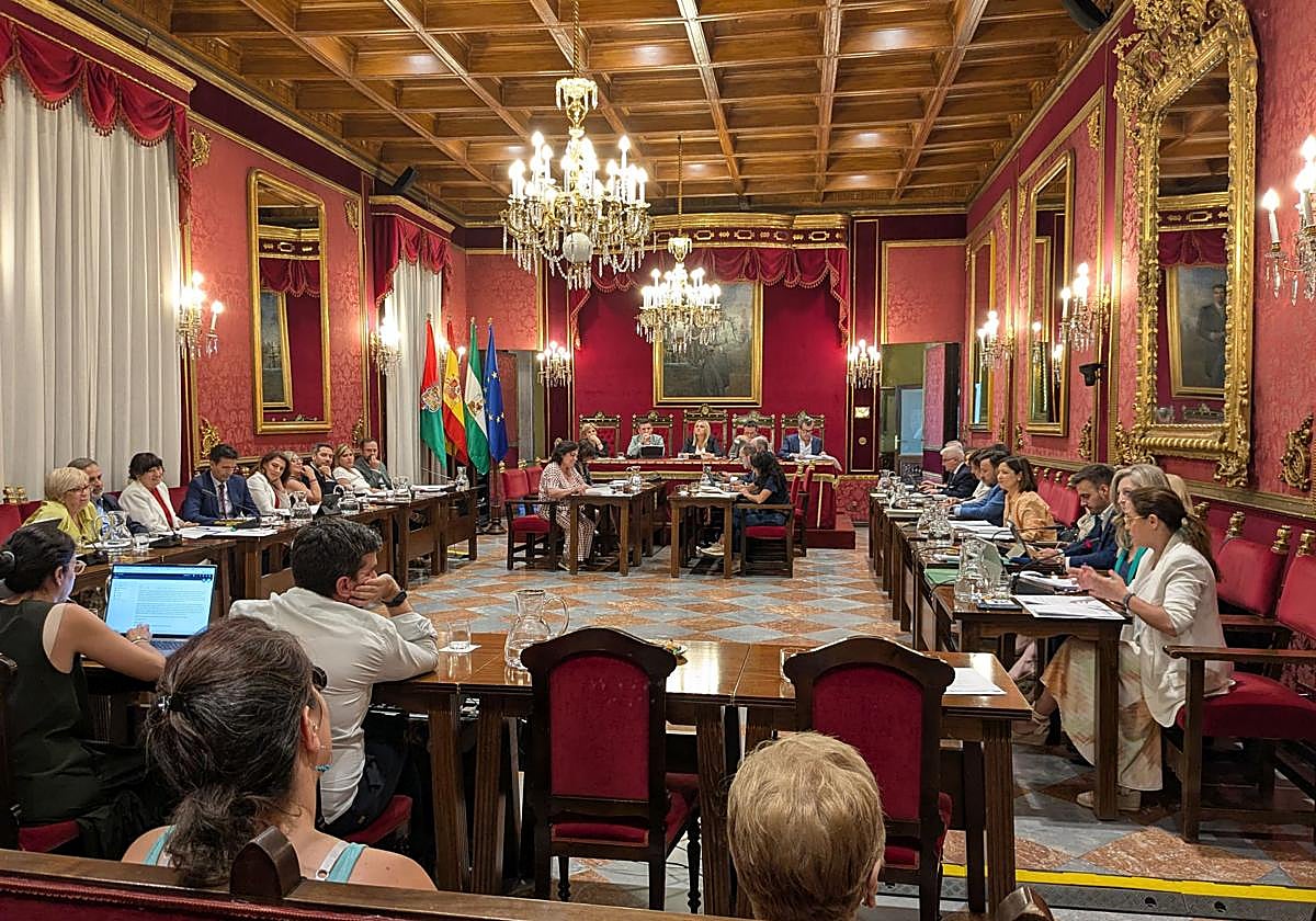 El pleno se une para respaldar a la UGR en su formación sobre IA